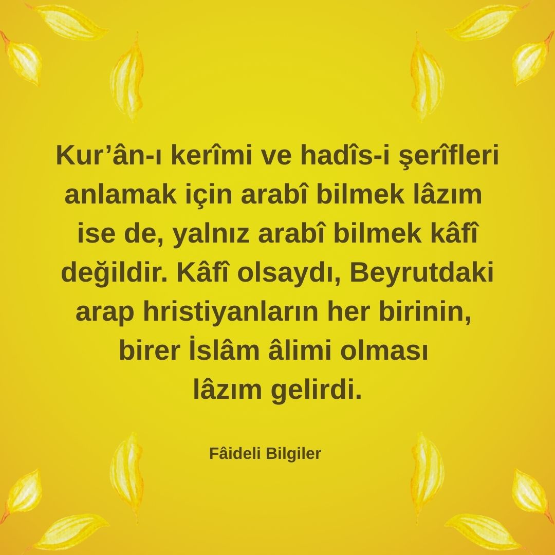Fâideli Bilgiler (6)